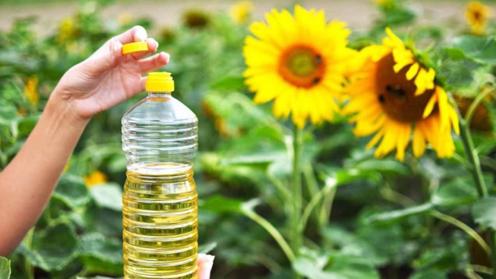 Son Dakika İndirim! Torku 5L Ayçiçek Yağında Dev Kampanya! Yalnızca 56.99 TL'den Satılacak!